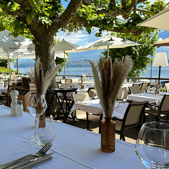 Terrasse Ombragée Restaurant Les Balcons du Bourget